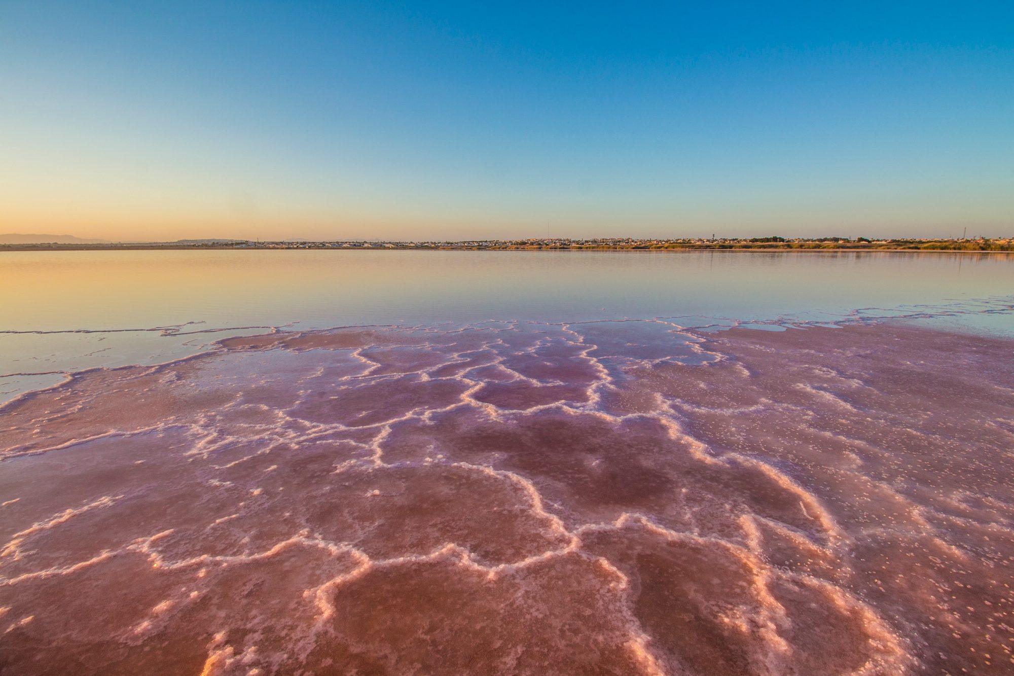 The shallows of Torrevieja's pink lagoon at dusk, where crystallising salt draws a web of white ridges and polygons over deep pink water, the smooth lagoon beyond reflecting a golden sky, with a thin line of houses on the far shore