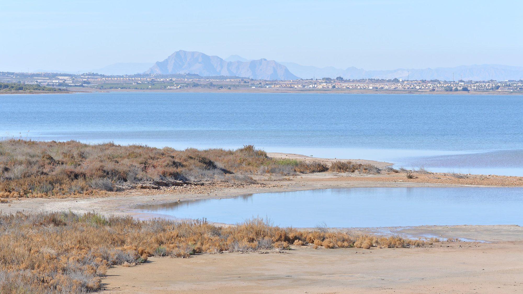 The Laguna de La Mata in the natural park of the Lagunas de La Mata y Torrevieja: tawny saltmarsh scrub and a shallow pool on a bare, salty shore in the foreground, the calm blue lagoon beyond, villages along the far shore and a jagged mountain ridge in the haze